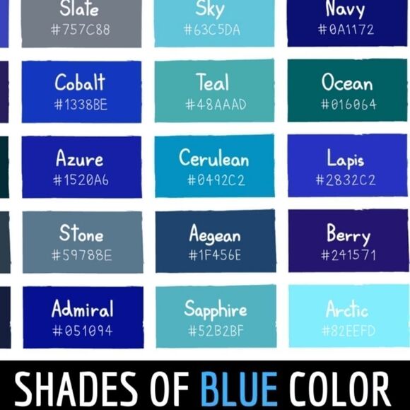 🔺️H&M Stone Blue Bird Print 3/4 Sleeve Buttoned Vneck Top Small - Picture 12 of 13